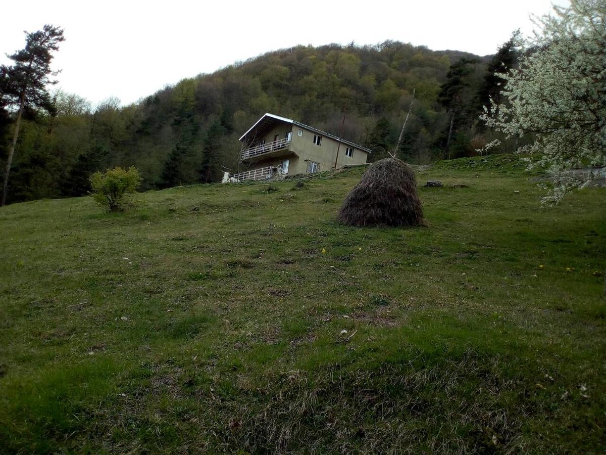 Xevsureti, Gama Guest house Roshka Extérieur photo