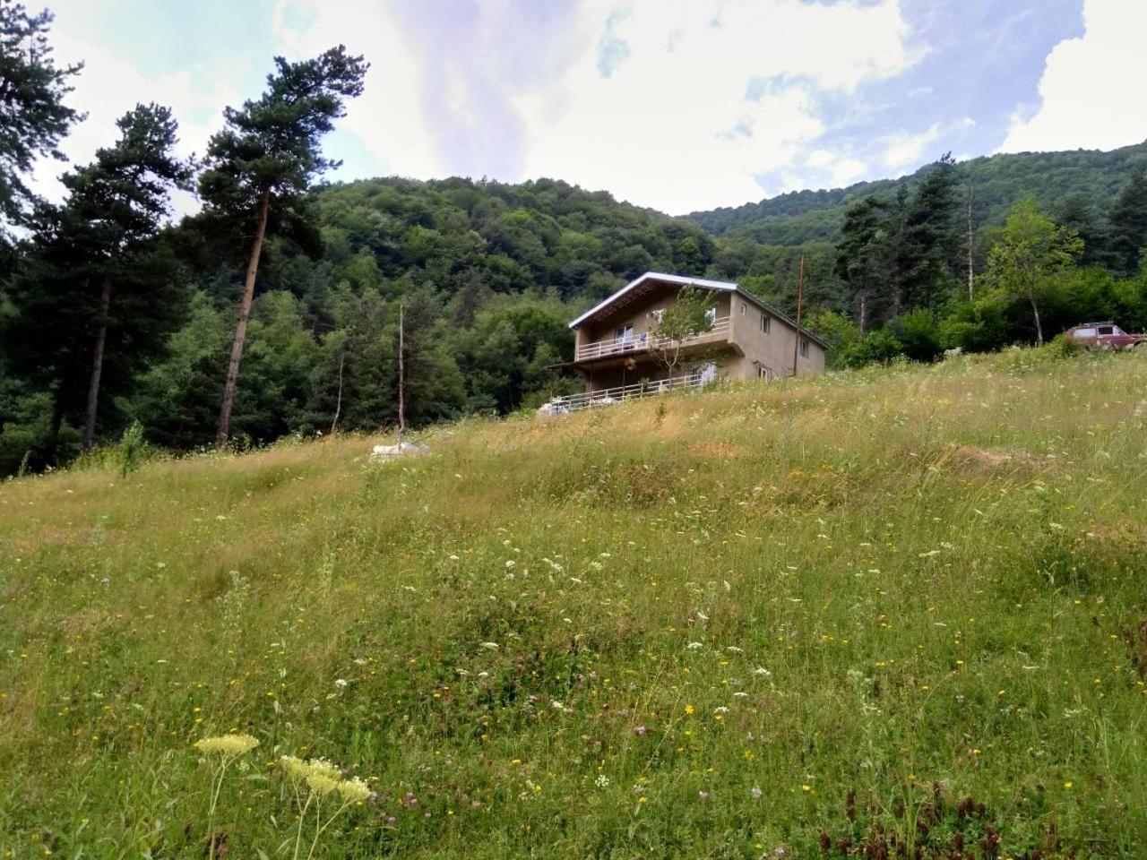 Xevsureti, Gama Guest house Roshka Extérieur photo